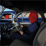 Frances the mute